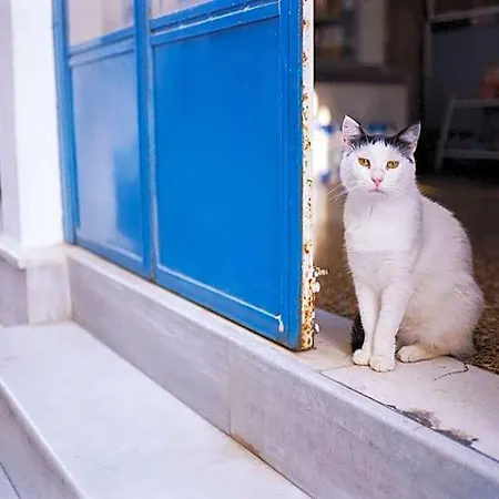 ホテル Superb Naxos Grand In The Heart Of Town Balcony